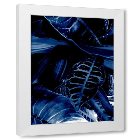 Tropical 5 White Modern Wood Framed Art Print by Phillip, Jamie