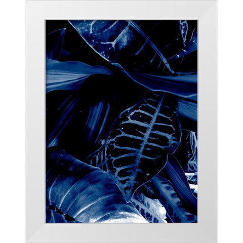 Tropical 5 White Modern Wood Framed Art Print by Phillip, Jamie