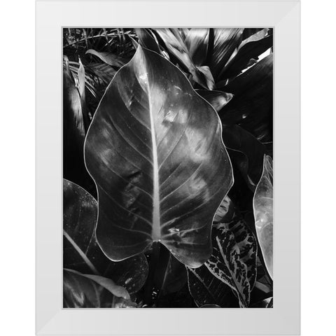 Tropical 8 White Modern Wood Framed Art Print by Phillip, Jamie