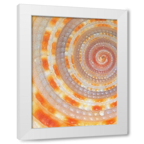 Wilks White Modern Wood Framed Art Print by Phillip, Jamie