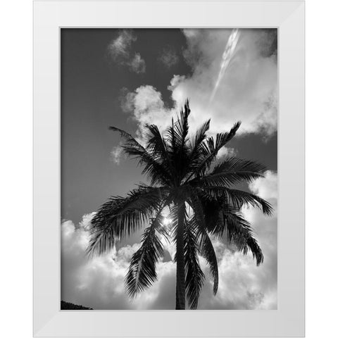 BVI 4 White Modern Wood Framed Art Print by Phillip, Jamie