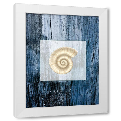Sea Shell White Modern Wood Framed Art Print by Phillip, Jamie