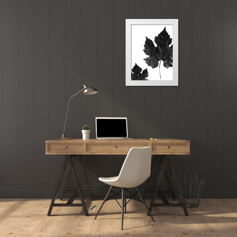 Shaded Leaf 1 White Modern Wood Framed Art Print by Phillip, Jamie