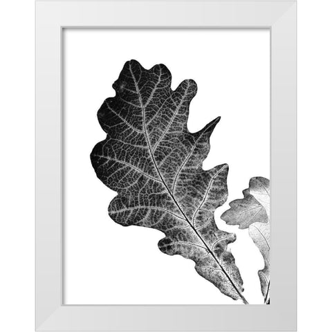 Shaded Leaf 2 White Modern Wood Framed Art Print by Phillip, Jamie