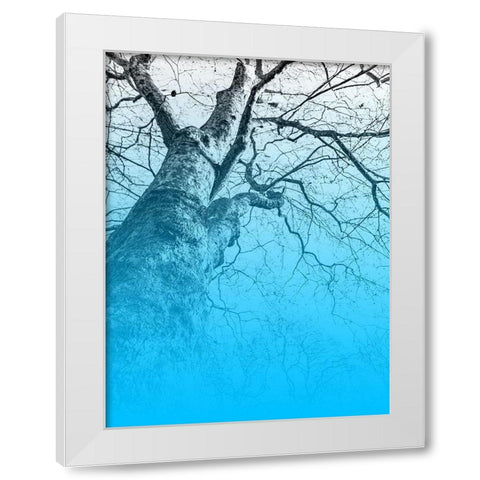 Blue Sky White Modern Wood Framed Art Print by Phillip, Jamie