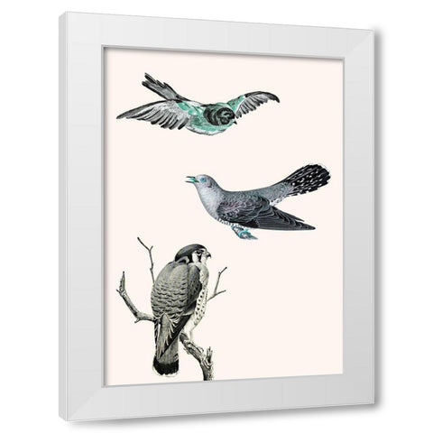 Birds 1 White Modern Wood Framed Art Print by Phillip, Jamie