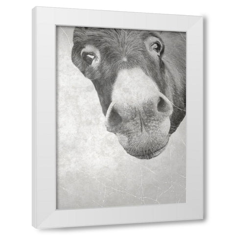 Farm Donkey White Modern Wood Framed Art Print by Phillip, Jamie