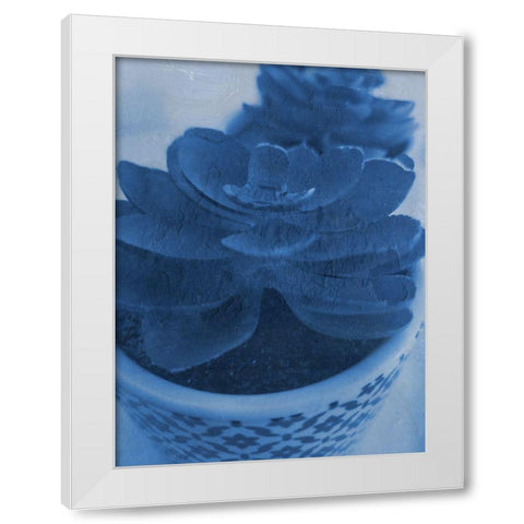 Succulent Plant 1 White Modern Wood Framed Art Print by Phillip, Jamie