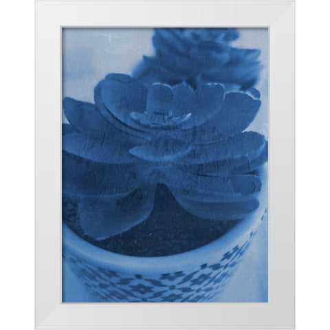 Succulent Plant 1 White Modern Wood Framed Art Print by Phillip, Jamie