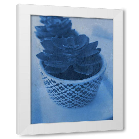 Succulent Plant 2 White Modern Wood Framed Art Print by Phillip, Jamie