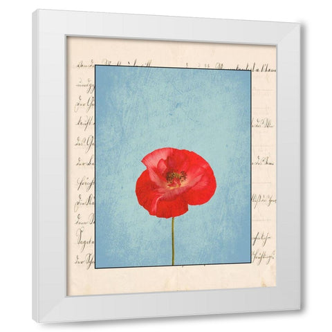 Red Flower White Modern Wood Framed Art Print by Phillip, Jamie