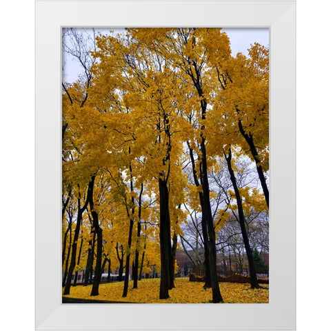 Silent Nature 3 White Modern Wood Framed Art Print by Phillip, Jamie