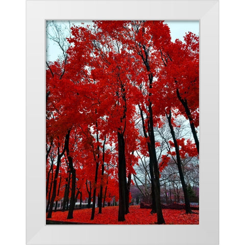 Silent Nature 4 White Modern Wood Framed Art Print by Phillip, Jamie