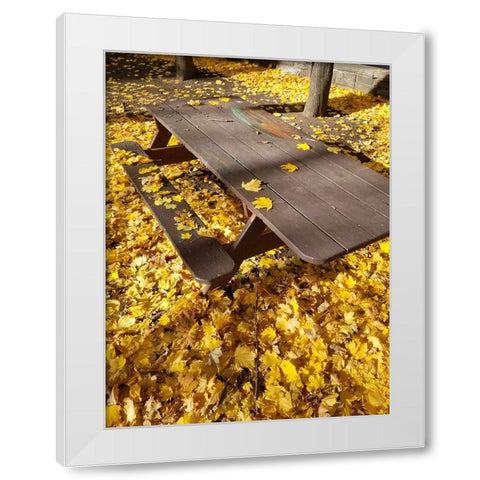 Silent Nature 6 White Modern Wood Framed Art Print by Phillip, Jamie