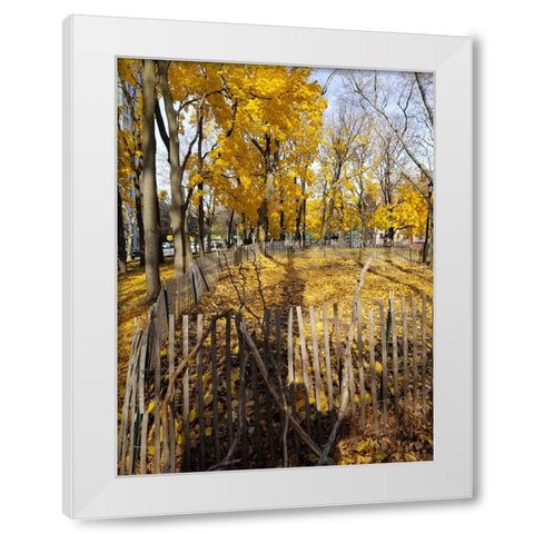 Silent Nature 8 White Modern Wood Framed Art Print by Phillip, Jamie