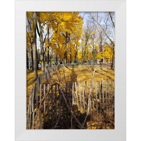Silent Nature 8 White Modern Wood Framed Art Print by Phillip, Jamie