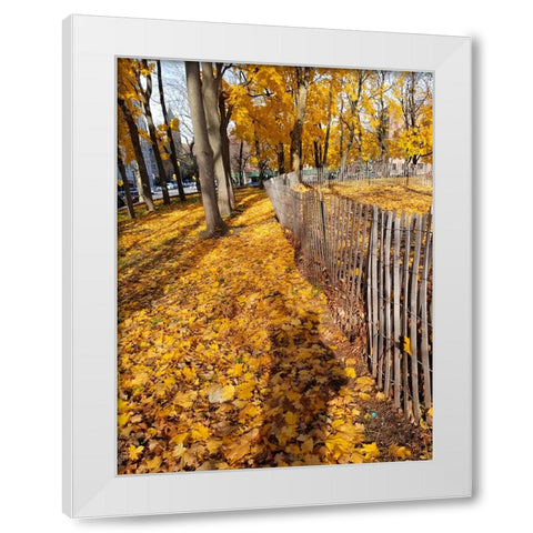 Silent Nature 10 White Modern Wood Framed Art Print by Phillip, Jamie