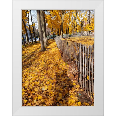 Silent Nature 10 White Modern Wood Framed Art Print by Phillip, Jamie