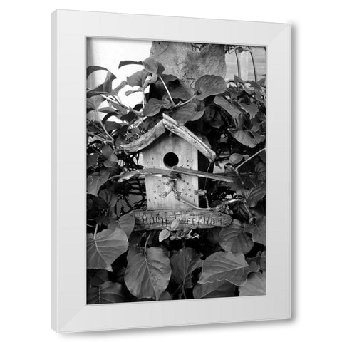 Bird House White Modern Wood Framed Art Print by Phillip, Jamie