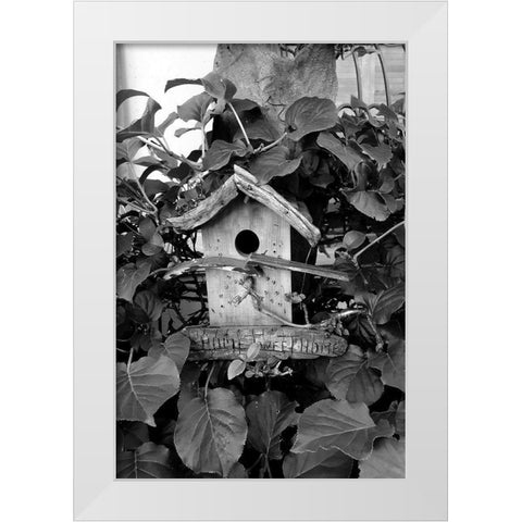 Bird House White Modern Wood Framed Art Print by Phillip, Jamie