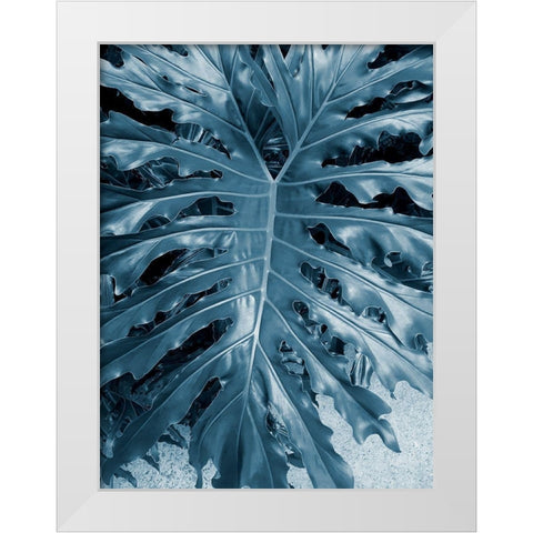 Garden 2 White Modern Wood Framed Art Print by Phillip, Jamie