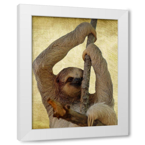 Hang On White Modern Wood Framed Art Print by Phillip, Jamie