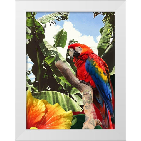 Tropical Garden White Modern Wood Framed Art Print by Phillip, Jamie