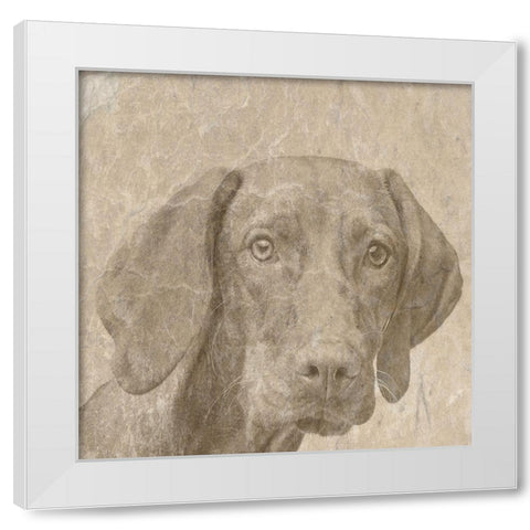 Puppylove White Modern Wood Framed Art Print by Phillip, Jamie