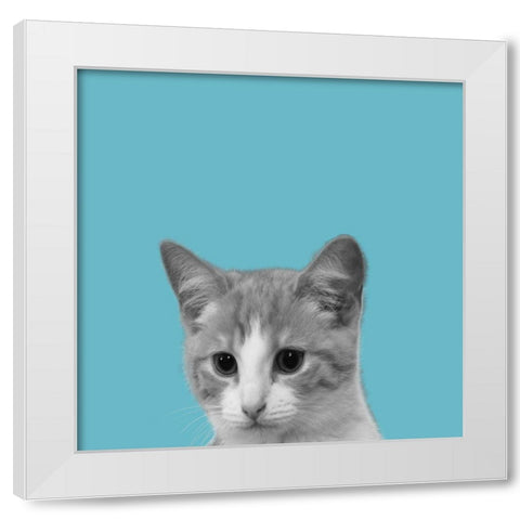 Good Cat White Modern Wood Framed Art Print by Phillip, Jamie