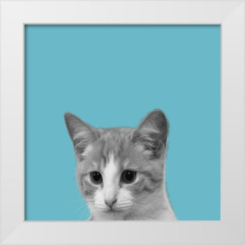 Good Cat White Modern Wood Framed Art Print by Phillip, Jamie