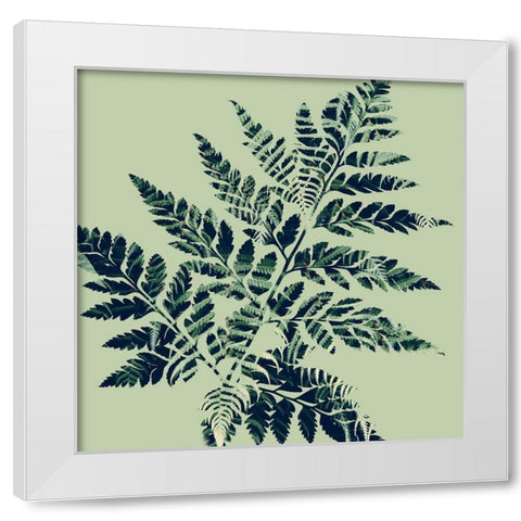 Paradise 2 White Modern Wood Framed Art Print by Phillip, Jamie