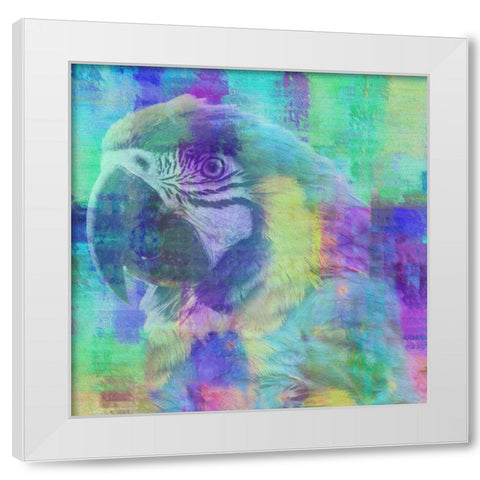 Flying Colors White Modern Wood Framed Art Print by Phillip, Jamie