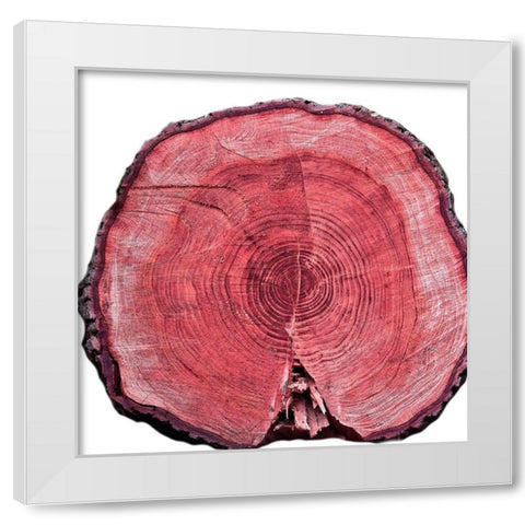 Lodge Log 2 White Modern Wood Framed Art Print by Phillip, Jamie