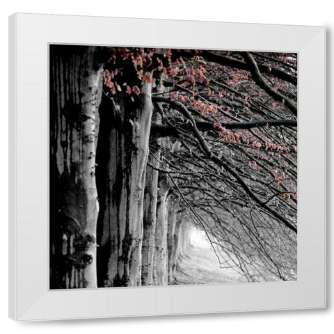 BW and Color White Modern Wood Framed Art Print by Phillip, Jamie