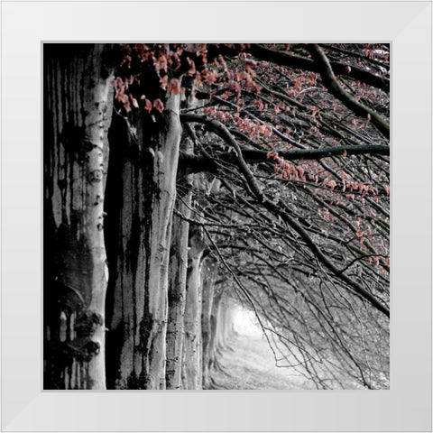 BW and Color White Modern Wood Framed Art Print by Phillip, Jamie