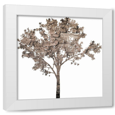Wooded White Modern Wood Framed Art Print by Phillip, Jamie