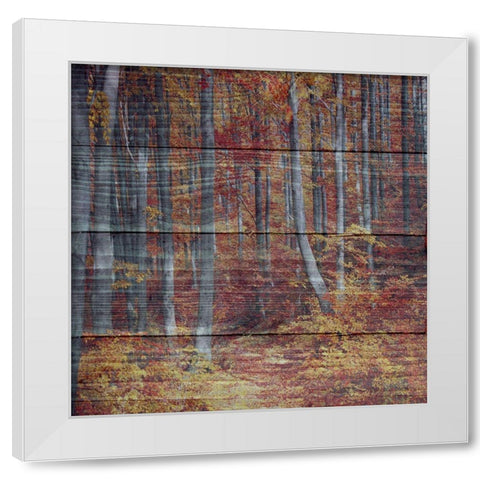 Landscape White Modern Wood Framed Art Print by Phillip, Jamie