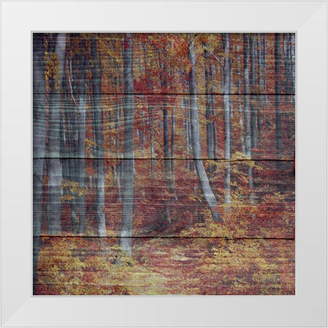 Landscape White Modern Wood Framed Art Print by Phillip, Jamie