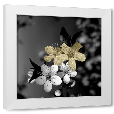 Black and Gold Beauty 1 White Modern Wood Framed Art Print by Phillip, Jamie