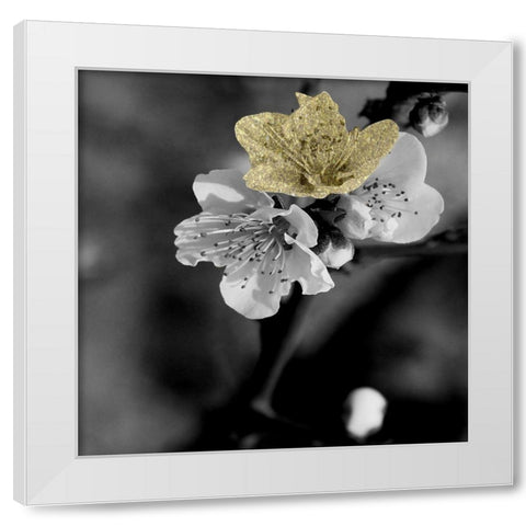 Black and Gold Beauty 2 White Modern Wood Framed Art Print by Phillip, Jamie