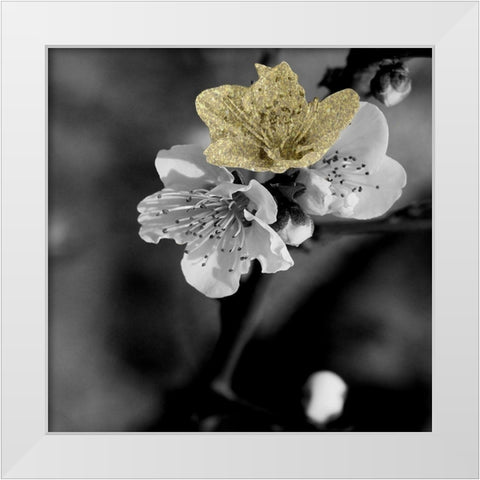 Black and Gold Beauty 2 White Modern Wood Framed Art Print by Phillip, Jamie
