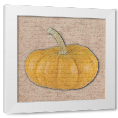 Pumpkin White Modern Wood Framed Art Print by Phillip, Jamie
