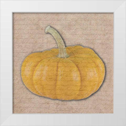 Pumpkin White Modern Wood Framed Art Print by Phillip, Jamie