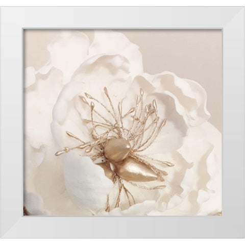 Bellarosa White Modern Wood Framed Art Print by Phillip, Jamie