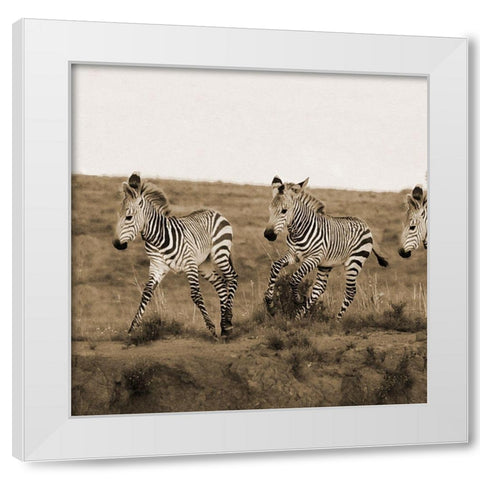 Young Runners White Modern Wood Framed Art Print by Phillip, Jamie