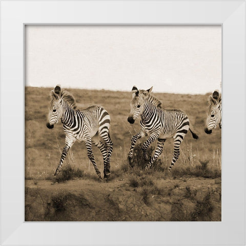 Young Runners White Modern Wood Framed Art Print by Phillip, Jamie