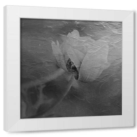 Paint Textured Rose White Modern Wood Framed Art Print by Phillip, Jamie