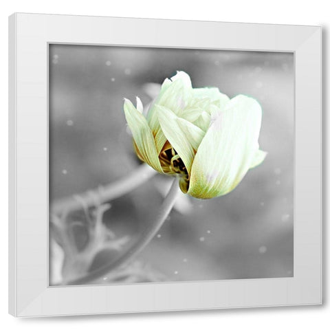 Black and White Hue White Modern Wood Framed Art Print by Phillip, Jamie