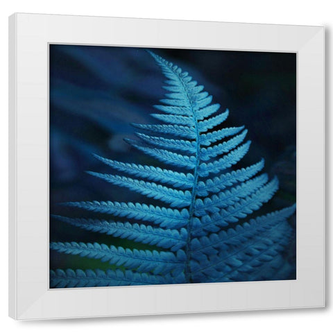 Caribbean Night White Modern Wood Framed Art Print by Phillip, Jamie
