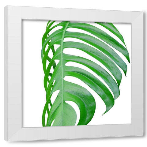 Pop up 3 White Modern Wood Framed Art Print by Phillip, Jamie